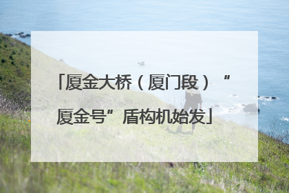 厦金大桥（厦门段）“厦金号”盾构机始发