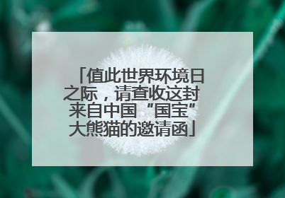 值此世界环境日之际，请查收这封来自中国“国宝”大熊猫的邀请函