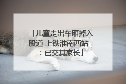 儿童走出车厢掉入股道 上铁淮南西站：已交其家长