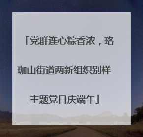 党群连心粽香浓，珞珈山街道两新组织别样主题党日庆端午