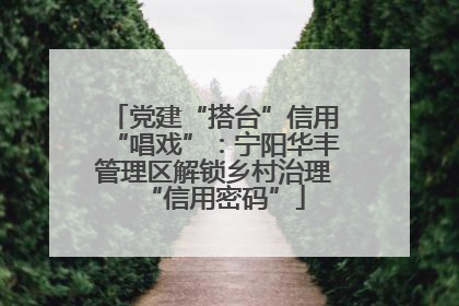 党建“搭台”信用“唱戏”：宁阳华丰管理区解锁乡村治理“信用密码”