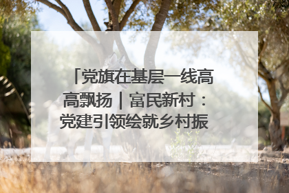 党旗在基层一线高高飘扬｜富民新村：党建引领绘就乡村振兴美丽画卷