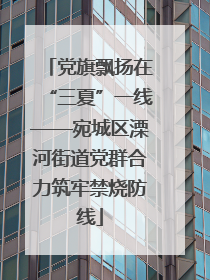 党旗飘扬在“三夏”一线——宛城区溧河街道党群合力筑牢禁烧防线