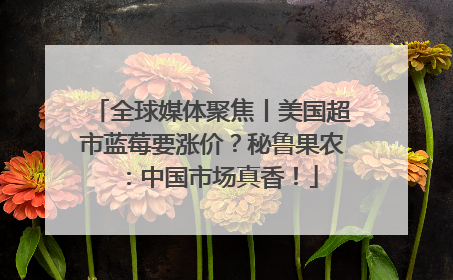全球媒体聚焦丨美国超市蓝莓要涨价？秘鲁果农：中国市场真香！