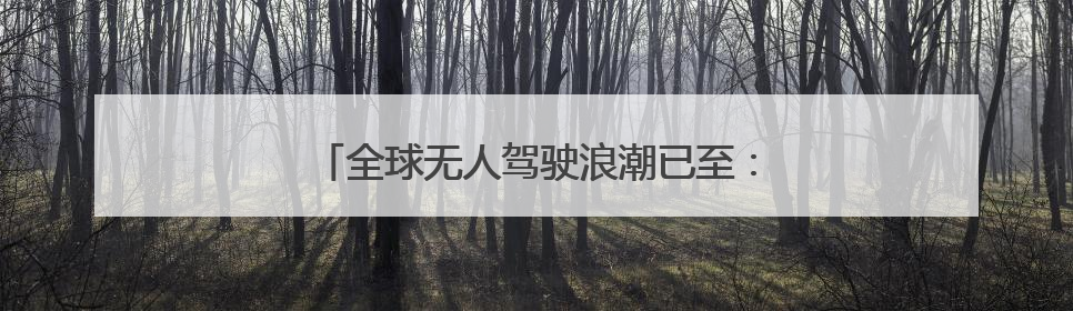 全球无人驾驶浪潮已至：黄仁勋称迎来黄金十年