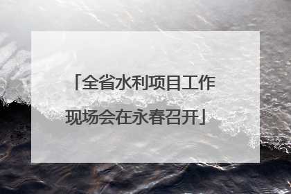 全省水利项目工作现场会在永春召开