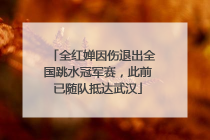 全红婵因伤退出全国跳水冠军赛，此前已随队抵达武汉