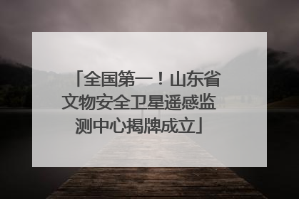 全国第一！山东省文物安全卫星遥感监测中心揭牌成立