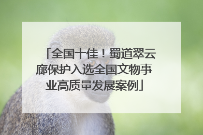 全国十佳！蜀道翠云廊保护入选全国文物事业高质量发展案例