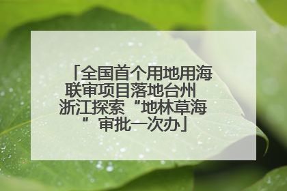 全国首个用地用海联审项目落地台州 浙江探索“地林草海”审批一次办