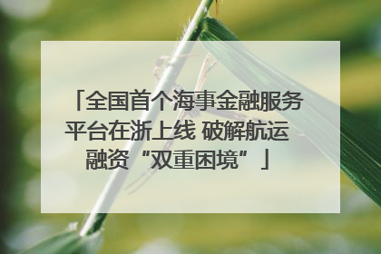 全国首个海事金融服务平台在浙上线 破解航运融资“双重困境”