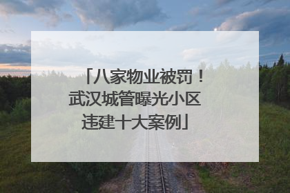 八家物业被罚！武汉城管曝光小区违建十大案例
