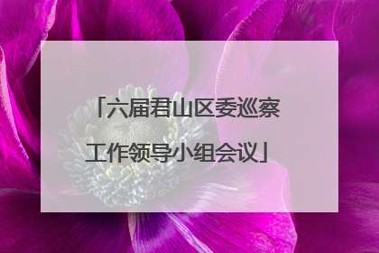 六届君山区委巡察工作领导小组会议