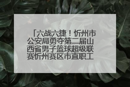 六战六捷！忻州市公安局勇夺第二届山西省男子篮球超级联赛忻州赛区市直职工组比赛冠军