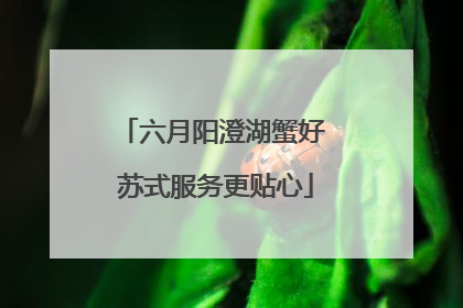 六月阳澄湖蟹好 苏式服务更贴心