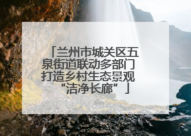 兰州市城关区五泉街道联动多部门打造乡村生态景观“洁净长廊”