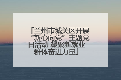 兰州市城关区开展“新心向党”主题党日活动 凝聚新就业群体奋进力量