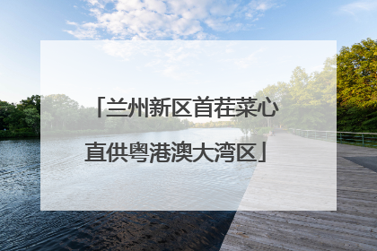 兰州新区首茬菜心直供粤港澳大湾区