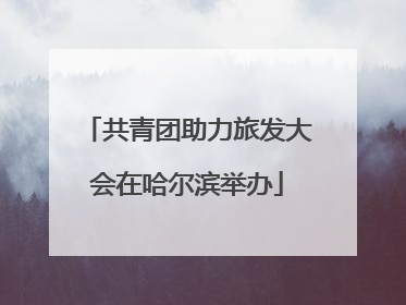 共青团助力旅发大会在哈尔滨举办
