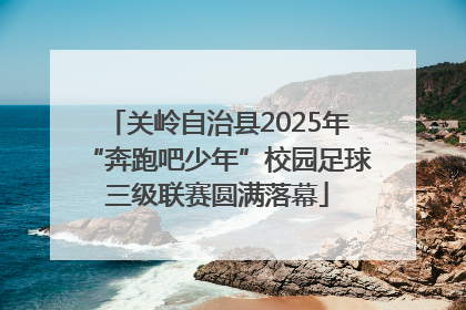 关岭自治县2025年“奔跑吧少年”校园足球三级联赛圆满落幕