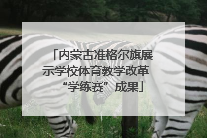 内蒙古准格尔旗展示学校体育教学改革“学练赛”成果