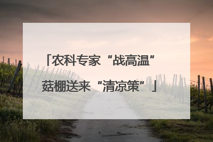 农科专家“战高温” 菇棚送来“清凉策”