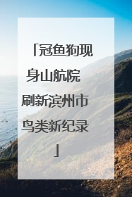 冠鱼狗现身山航院 刷新滨州市鸟类新纪录