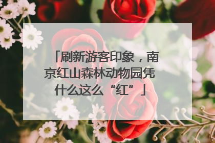刷新游客印象，南京红山森林动物园凭什么这么“红”