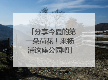 分享今夏的第一朵荷花！来杨浦这座公园吧