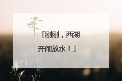 刚刚，西湖开闸放水！