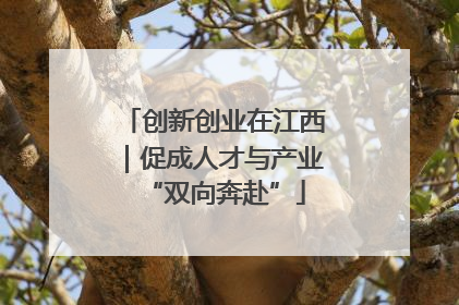 创新创业在江西｜促成人才与产业“双向奔赴”