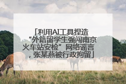 利用AI工具捏造 “外籍留学生强闯南京火车站安检”网络谣言，张某燕被行政拘留