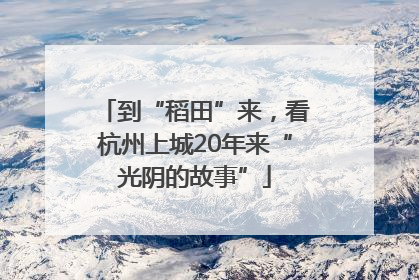 到“稻田”来，看杭州上城20年来“光阴的故事”