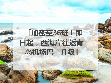 加密至36班！即日起，西海岸往返青岛机场巴士升级