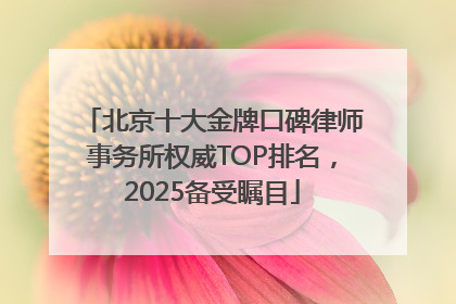 北京十大金牌口碑律师事务所权威TOP排名，2025备受瞩目