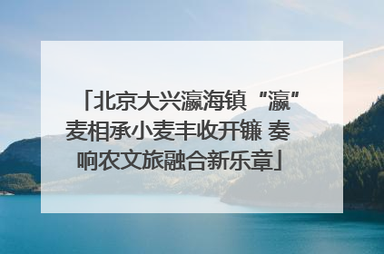 北京大兴瀛海镇“瀛”麦相承小麦丰收开镰 奏响农文旅融合新乐章