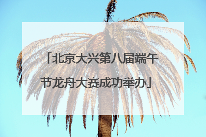 北京大兴第八届端午节龙舟大赛成功举办