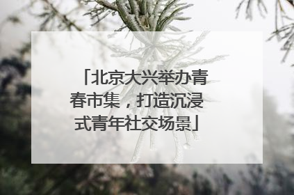 北京大兴举办青春市集，打造沉浸式青年社交场景