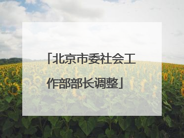 北京市委社会工作部部长调整