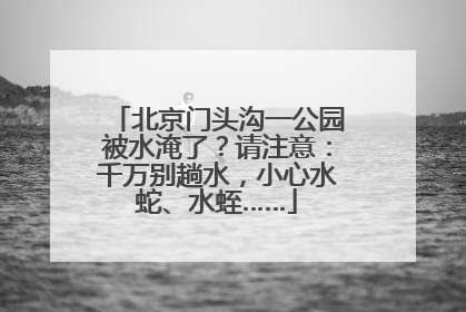 北京门头沟一公园被水淹了？请注意：千万别趟水，小心水蛇、水蛭……