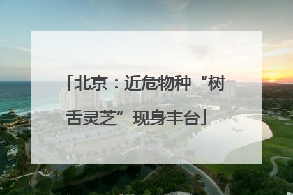 北京：近危物种“树舌灵芝”现身丰台