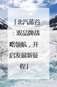 北汽蓝谷：双品牌战略领航，开启发展新征程