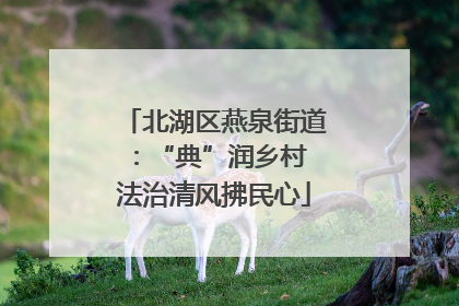北湖区燕泉街道：“典”润乡村 法治清风拂民心