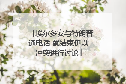 埃尔多安与特朗普通电话 就结束伊以冲突进行讨论