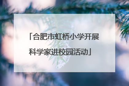 合肥市虹桥小学开展科学家进校园活动