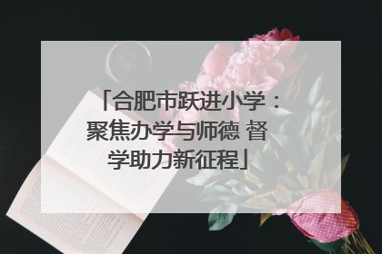 合肥市跃进小学：聚焦办学与师德 督学助力新征程