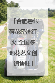 合肥暑假荷花经济红火 全国多地花艺文创销售旺