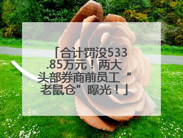 合计罚没533.85万元！两大头部券商前员工“老鼠仓”曝光！