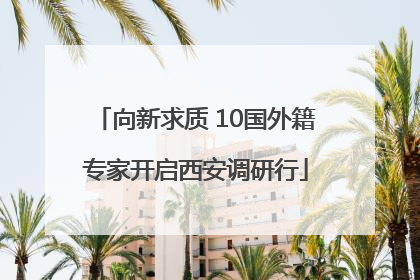 向新求质 10国外籍专家开启西安调研行