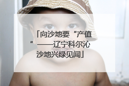 向沙地要“产值”——辽宁科尔沁沙地兴绿见闻